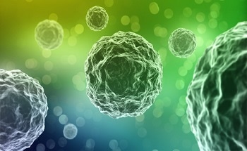 ‘Nano’ Becomes ‘Atto’ and Will Soon Be ‘Zepto’ for Cornell - New Technology