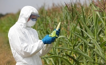 Food Industry Tuning In To Nanotechnology