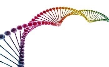 Purdue researchers stretch DNA on chip, lay track for future computers - New Technology