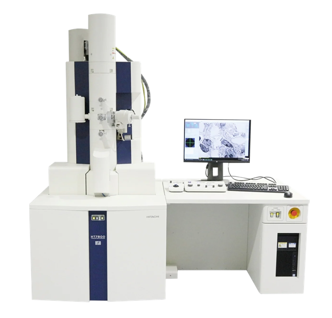 HT7800: A Fully Digital, Versatile Transmission Electron Microscope
