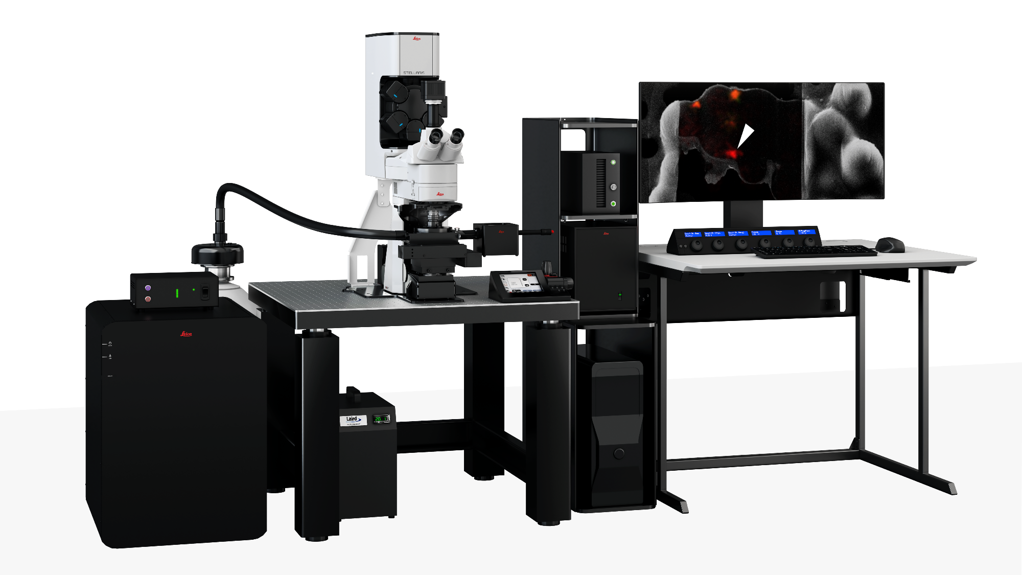 STELLARIS Cryo: Confocal CryoET Targeting With Open-Format 3D Export for Reliable ROI Localization