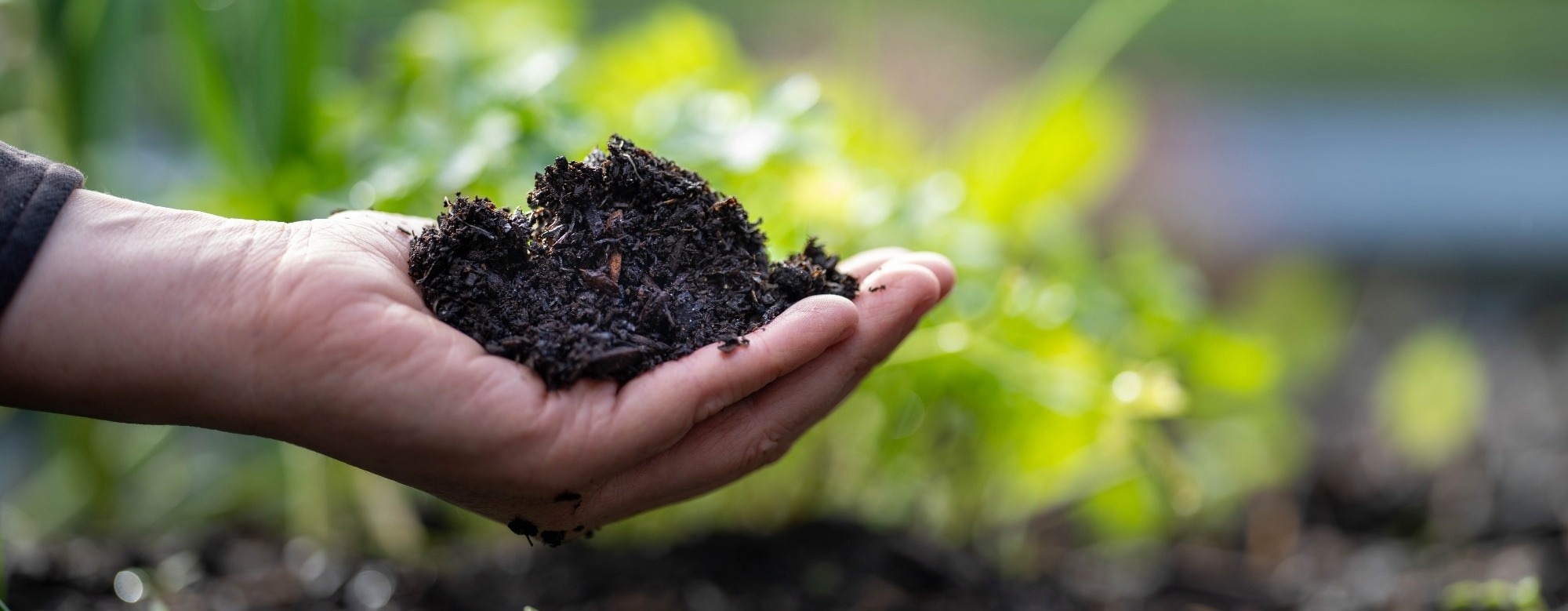 Improving Crop Tolerance to Drought and Heat Using Nanomaterials