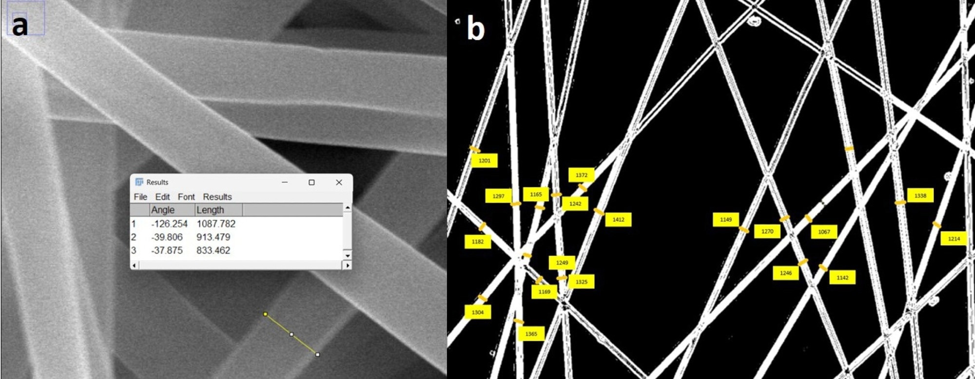 AI Helps Researchers Measure Nanofibers Beyond Diameter Alone