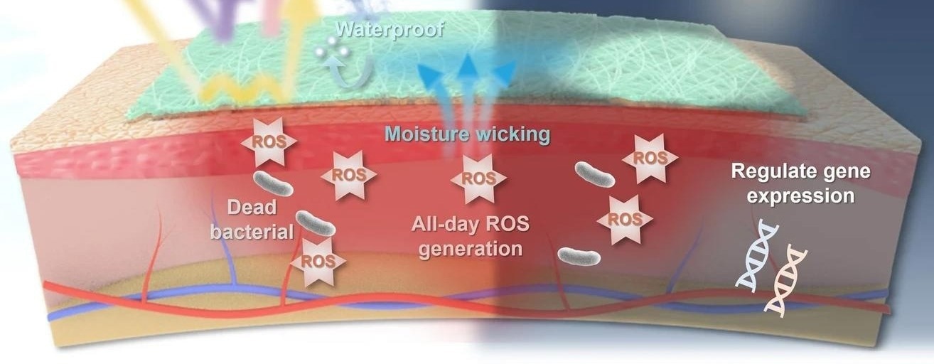 Nanofiber Bionic Skin Helps Infected Wounds Heal Faster in Preclinical Study