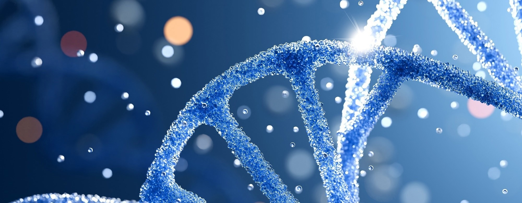 A Small Chemical Tweak Makes DNA Build Two Very Different Nanostructures
