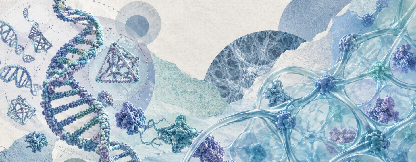 DNA–Protein Hydrogels Push DNA Nanotechnology Into Adaptive Soft Matter