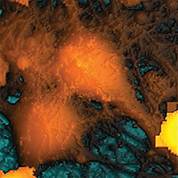 SICM image of live neuron from mouse hippocamp 40 × 40 × 13.3 μm.