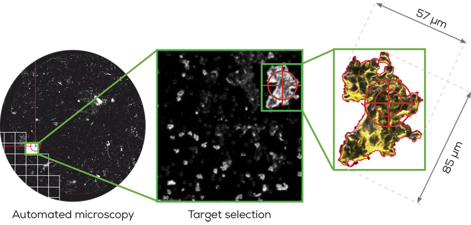Identify Particles with the Hound Particle Characterization Platform
