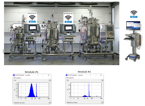 On-Line Shape Analyzer System: Pi PMS