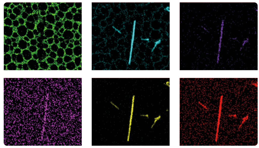 HT7800: A Fully Digital, Versatile Transmission Electron Microscope