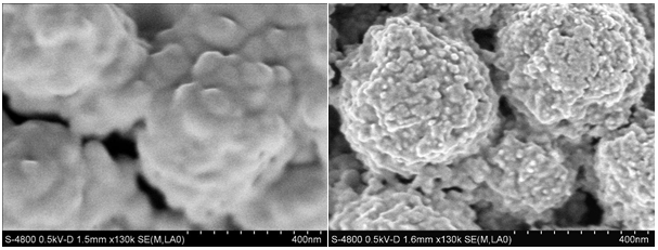 Left: BEFORE ZoneSEM cleaning. Right: AFTER ZoneSEM cleaning.