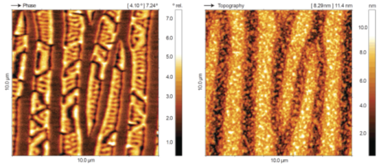 Magnetic force microscopy on MnAS thin film sample. Domains with different magnetic orientation are visualized in the phase image. Image acquired with DME DS 95 Compact granite SPM system.