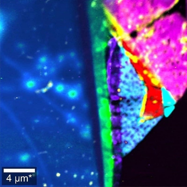 Raman image of a MoS2/WSe2 heterostructure recorded at 2K. The colors represent different layer numbers, compositions and orientations.