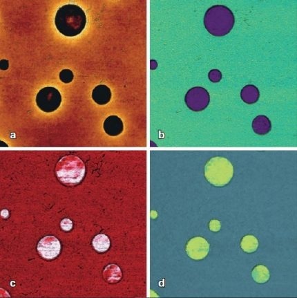 PeakForce QNM image of a blend of polystyrene (PS) and ethylene-octene copolymer. The softer ethylene-octene copolymer (~0.1 GPa) is embedded in a stiff matrix of PS (~2 GPa). Scan size: 4 µm × 4 µm. a) Height range: 80 nm; b) Adhesion range: 10 nN; c) Deformation range: 50 nm; d) Modulus range: 3 GPa.
