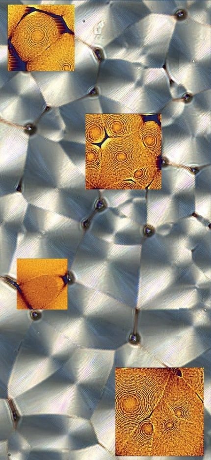 Superposition of optical images from an inverted optical microscope with AFM scans on a thin film of crystallized Poly(3-hydroxy-butyrate-co-3-hydroxyvaler-ate) (PHB/V). The background optical image was created by tiling a series of smaller images (4 × 4 images) using a motorized stage. Crossed polarizers were used to visualize the spherulitic structure of the sample. AFM phase images were acquired in TappingMode under ambient conditions. The periodic, ring-like structures seen in the AFM scans result from the continuous twisting of the crystalline lamellae, forming so-called banded spherulites. Scan size from top to bottom: 50 µm × 50 µm, 60 µm × 60 µm, 45 µm × 45 µm, 70 µm × 70 µm.