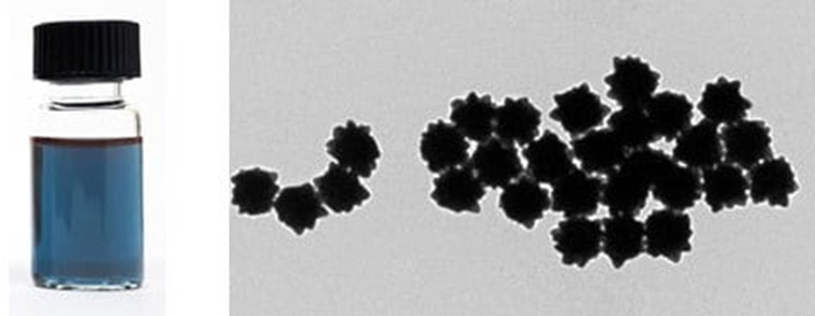 TEM of 100 nm Gold NanoUrchins.