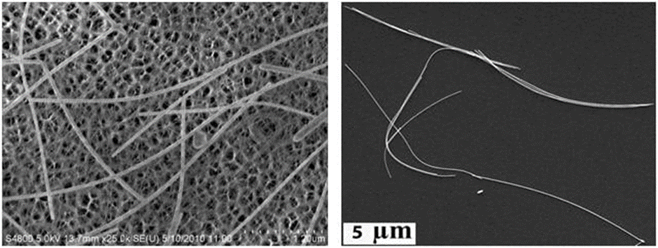 Left: TEM image of gold nanowires (Product Nos. 716944 and 716952) on a carbon nanotube framework. Right: SEM image of gold nanowires that can be used as a carbon nanotube replacement in organic electronics applications.