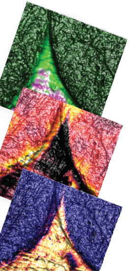 Correlated nanoscale property mapping showing nanoelectrical (PF-KPFM, top), nanothermal (SThM, middle), and nanochemical (AFM-IR, bottom) images of carbon fibers embedded in epoxy resin.