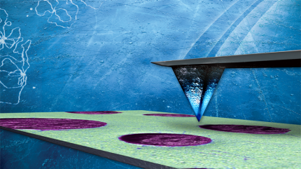 Dimension XR - Scanning Probe Microscope