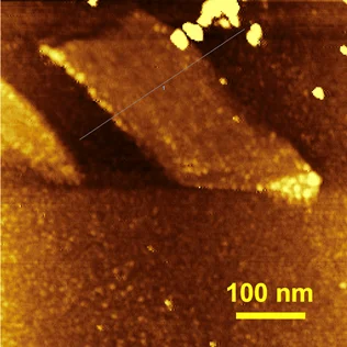 Nano-Observer II: AFM for Nanoscale Imaging