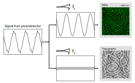 One resonance of the cantilever is used to detect the PiFM signal. Simultaneously, another resonance is used to collect the standard AFM topography and phase in a non-contact manner (no tip/sample contamination)