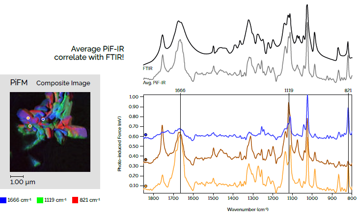 Similar to polarized FTIR, PiF-IR spectra are orientation sensitive due to the tip-enhanced field. The PiF-IR spectra above were acquired at different crystal faces on a vitamin C sample. They exhibit the local IR bands associated with the specific crystal faces. The average of these three distinct local PiF-IR spectra compare nicely with the bulk FTIR spectrum, which is the equivalent of an ensemble average of billions of PiF-IR spectra