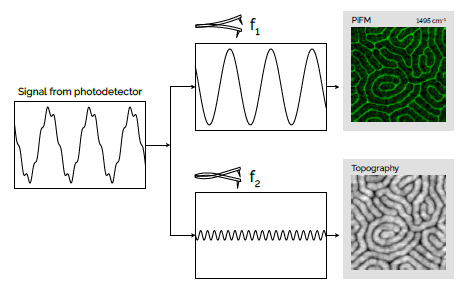 One resonance of the cantilever is used to detect the PiFM signal. Simultaneously, another resonance is used to collect the standard AFM topography and phase in a non-contact manner (no tip/sample contamination).