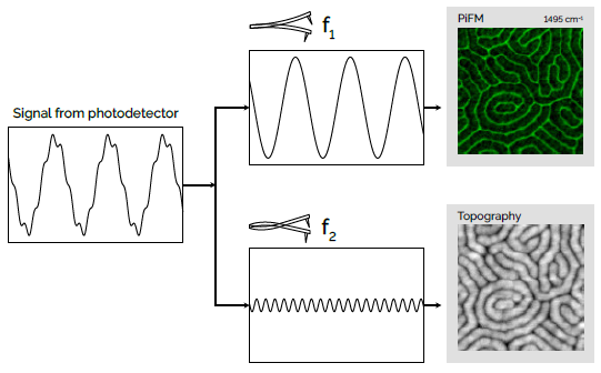One resonance of the cantilever is used to detect the PiFM signal. Simultaneously, another resonance is used to collect the standard AFM topography and phase in a non-contact manner (no tip/sample contamination).