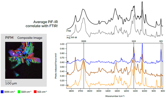 Similar to polarized FTIR, PiF-IR spectra are orientation sensitive due to the tip-enhanced field. The PiF-IR spectra above were acquired at different crystal faces on a vitamin C sample. They exhibit the local IR bands associated with the specific crystal faces. The average of these three distinct local PiF-IR spectra compare nicely with the bulk FTIR spectrum, which is the equivalent of an ensemble average of billions of PiF-IR spectra. Scan dimensions: 640 nm × 640 nm × 1025 nm