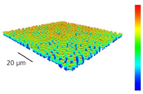 UPDATES - Lyncée Reflection Series: Time-Resolved Advanced Topography Solutions