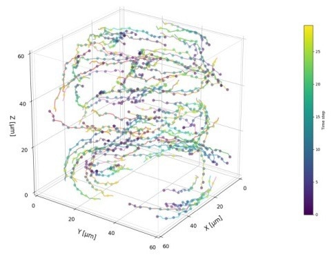 UPDATES - Lyncée Reflection Series: Time-Resolved Advanced Topography Solutions