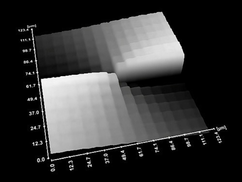 UPDATES - Lyncée Reflection Series: Time-Resolved Advanced Topography Solutions