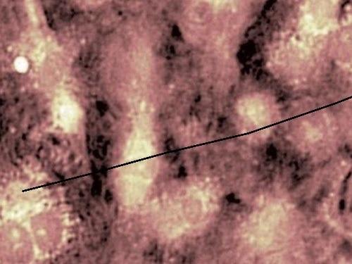 UPDATES - Lyncée Reflection Series: Time-Resolved Advanced Topography Solutions