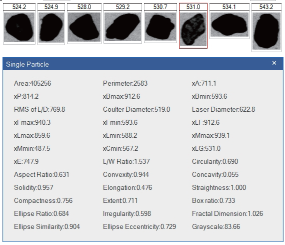 Laser Diffraction and Imaging with the Bettersizer 2600 Plus