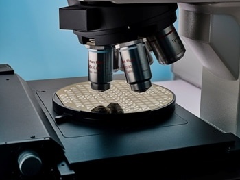 Graphene Field Effect Transistors (GFET)