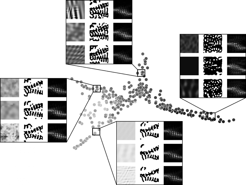 Photonic inverse design produces an assortment of nonintuitive designs that can achieve better performance in smaller footprints than their traditionally designed counterparts can. Despite the multitude of possible designs for any particular task, analysis of the designs for a beam splitter reveals how the algorithm produces devices that can actually be classified into different types based on their structure and underlying physical principles.