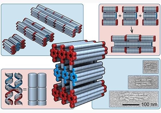 New Design Theory to Control Length of Self-Assembling Nanobots
