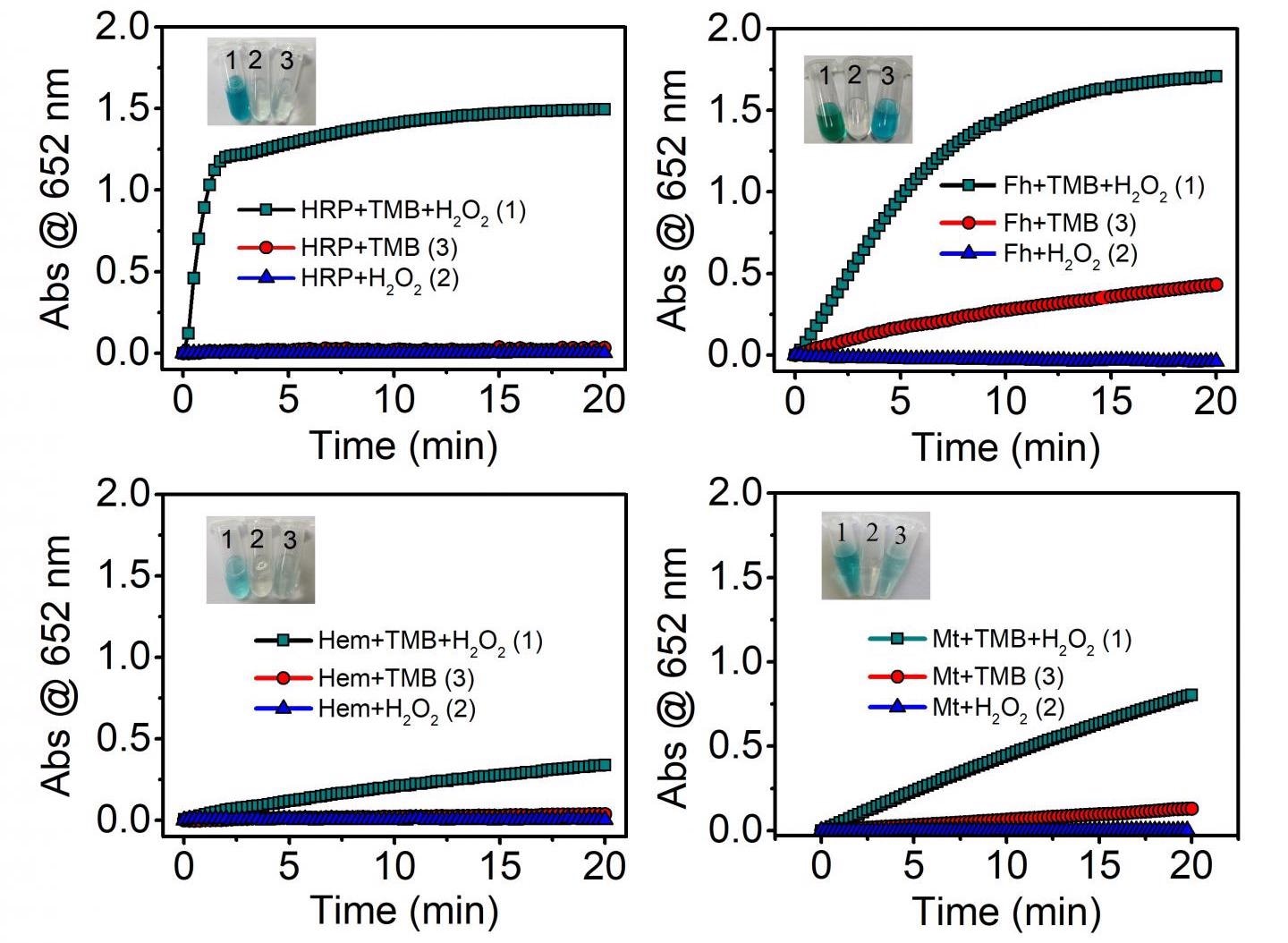 Mineral Nanozymes Could be New Enzyme Mimetics in Earth Systems.