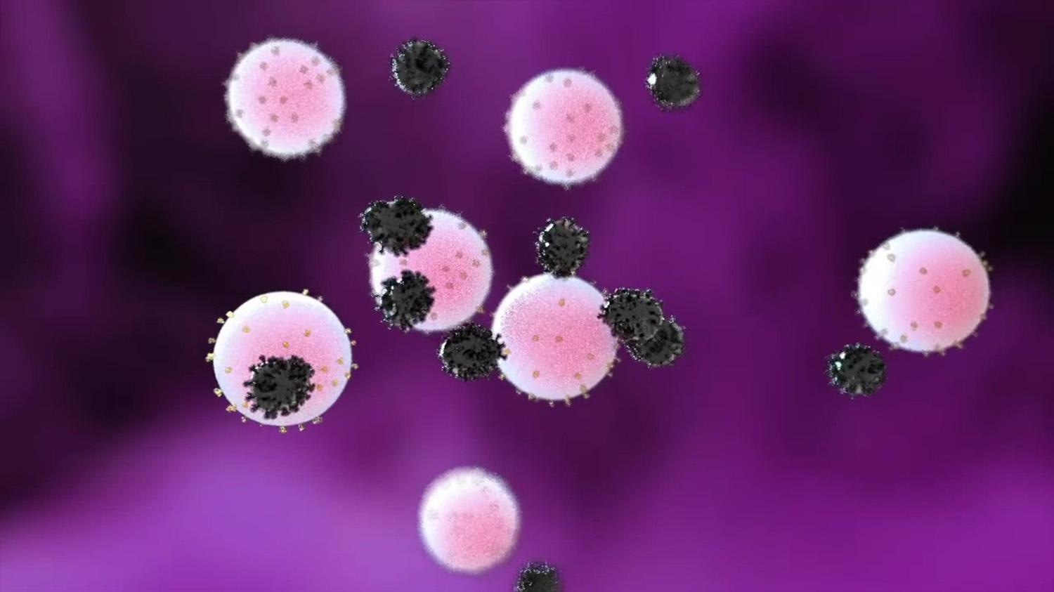 Nanodecoy Therapy is an Effective Alternative to Neutralize SARS-CoV-2 Virus