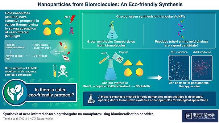 Eco-Friendly Gold Nanoparticles for Cancer Treatment.