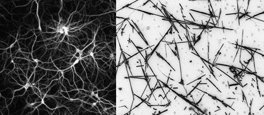 Artificial Network of Nanowires can be Tuned to Respond Like the Brain.