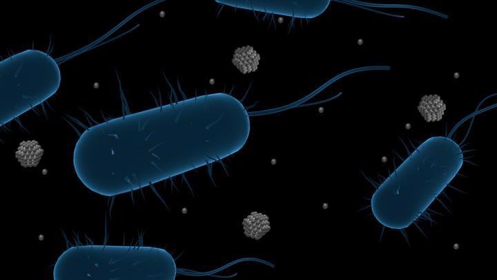 Study Analyzes Mechanisms Behind Bacterial Resistance to Ag Nanoparticles.