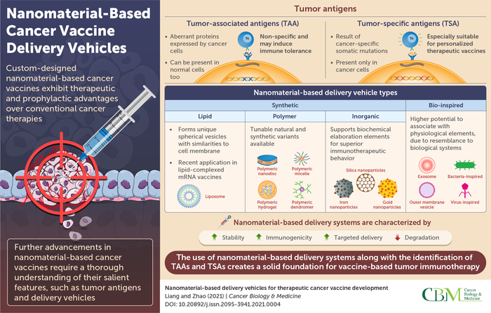 Researchers Review Cancer Vaccine Delivery Vehicles to Overcome Disadvantages