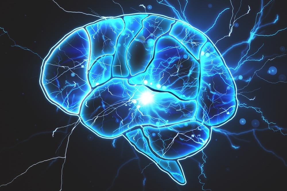 Digital brain image