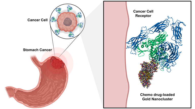 graphic, targeting tumor specific receptors with nanotechnology