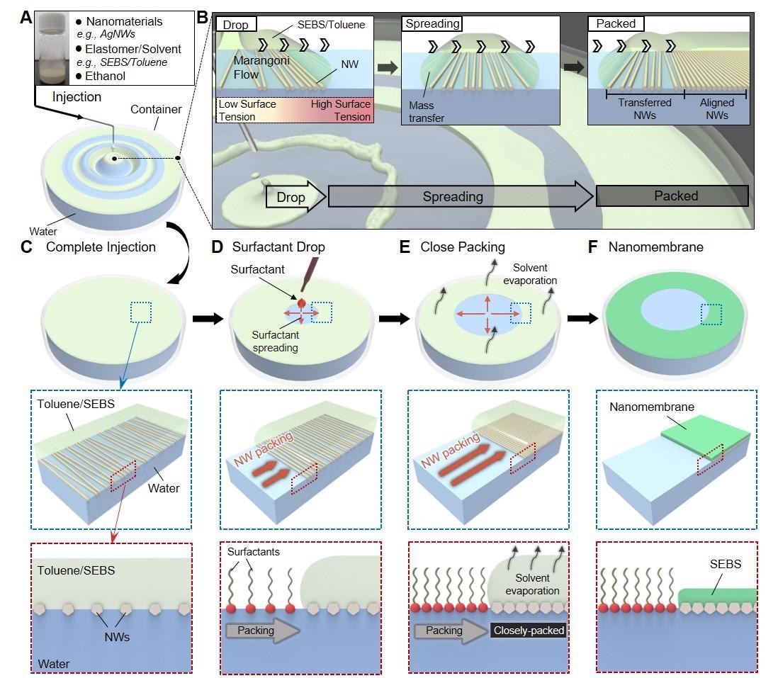New Float Assembly Technique for Fabricating Skin Electronics Nanomembrane