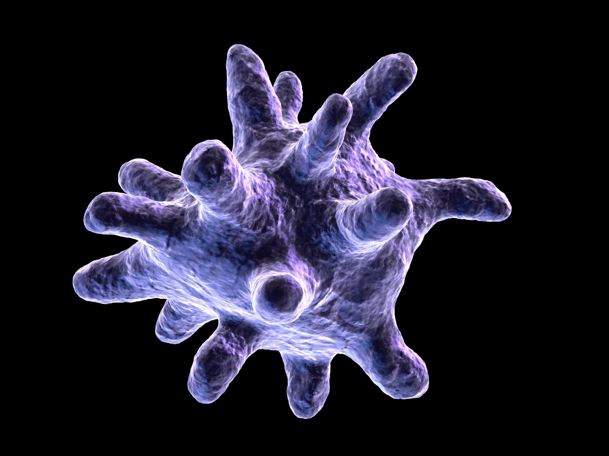 Study Analyzes Interaction Between Graphdiyne Oxide and Intracellular Proteins