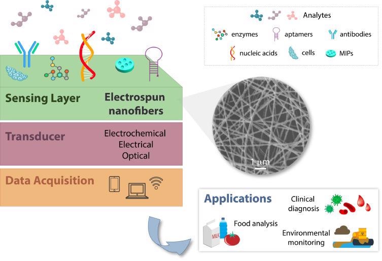 How Nanofibers can Improve the Performance of Biosensors