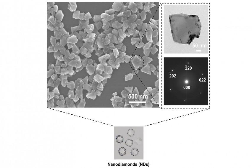 Study Shows Nanodiamonds are an Effective Agent in Treating Dental Diseases.