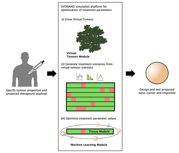 New AI-Optimized Software Could Improve Nanoparticle Design for Cancer Therapy.